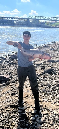 Channel Catfish