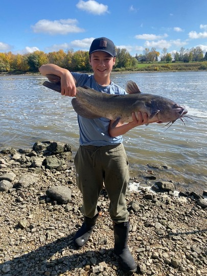 Channel Catfish