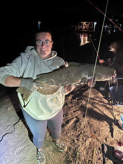 Channel Catfish