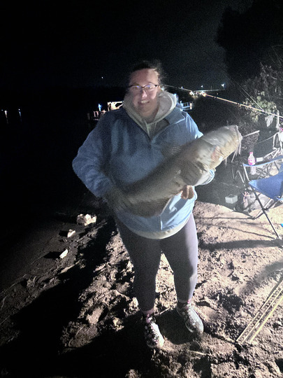 Channel Catfish