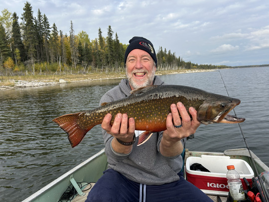 Brook Trout