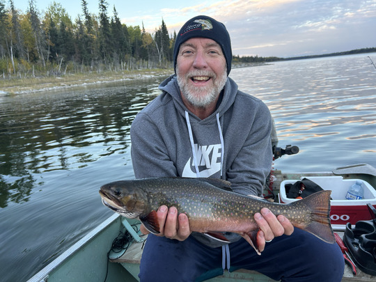Brook Trout