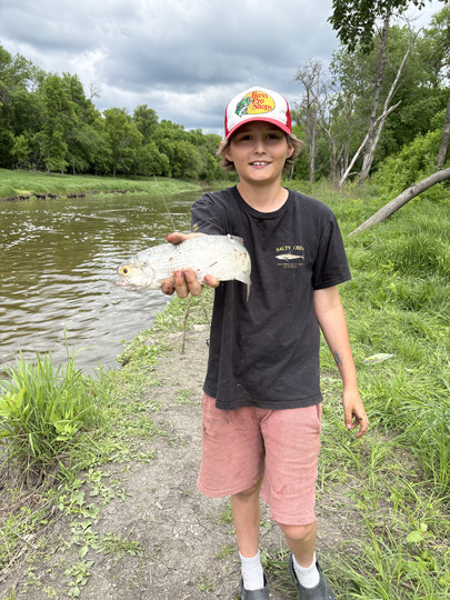 Goldeye