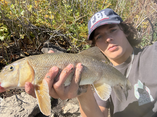 Sucker