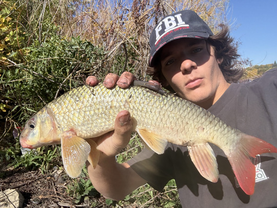 Sucker