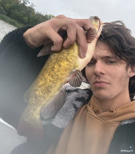 Bullhead