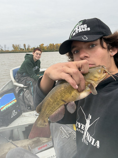 Bullhead