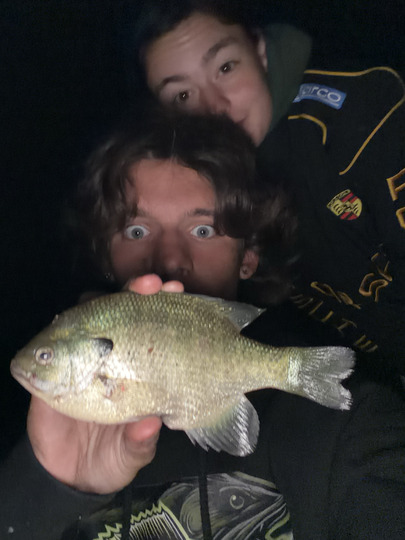 Sunfish