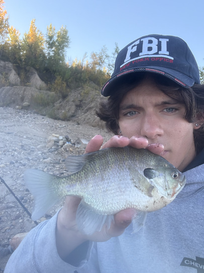 Sunfish