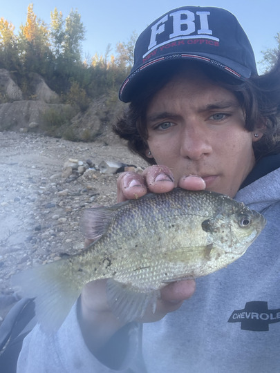 Sunfish