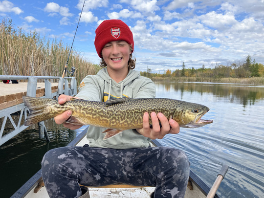 Tiger Trout