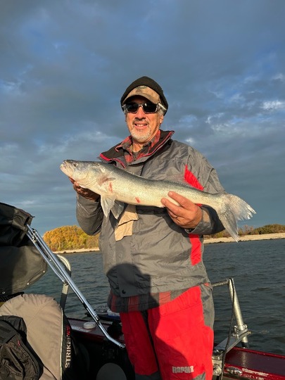 Walleye