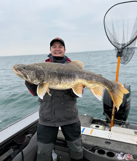 Lake Trout