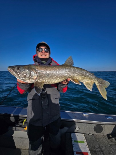 Lake Trout