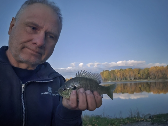 Sunfish