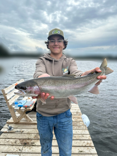 Rainbow Trout