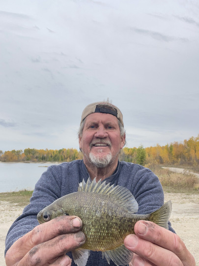 Sunfish