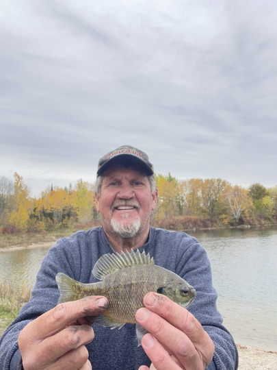 Sunfish