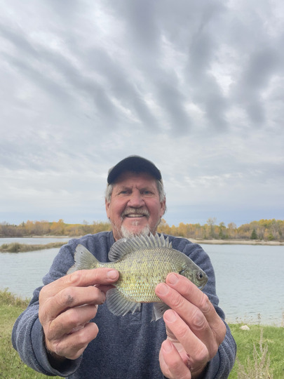 Sunfish