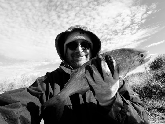 Goldeye
