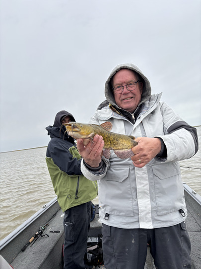 Bullhead