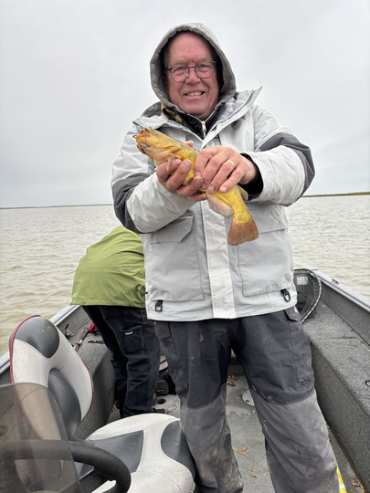 Bullhead