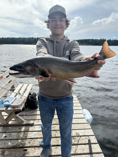 Brook Trout