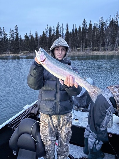 Rainbow Trout