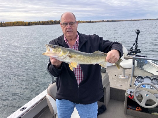 Walleye