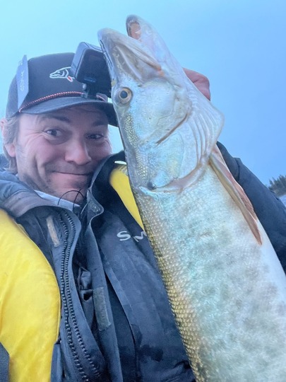 Muskellunge
