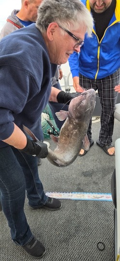Channel Catfish