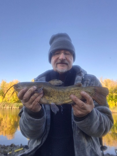 Bullhead