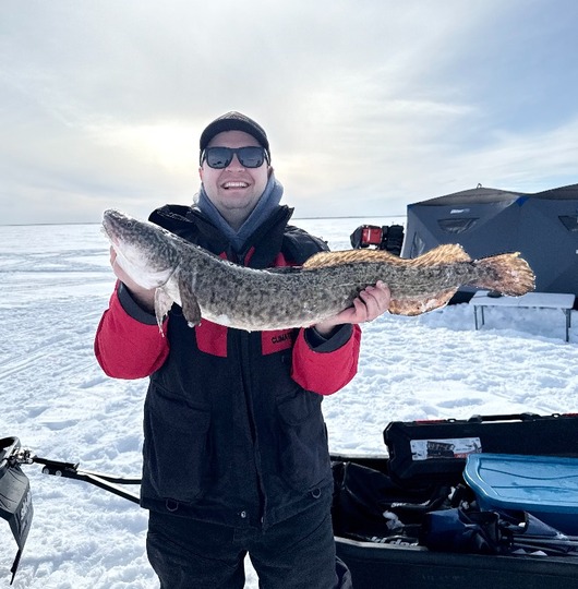 Burbot