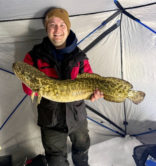 Burbot