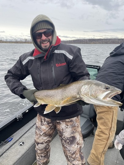 Lake Trout