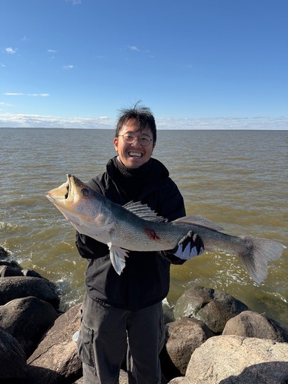 Walleye