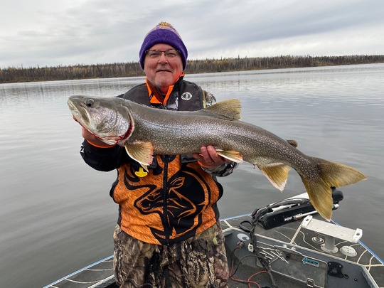 Lake Trout