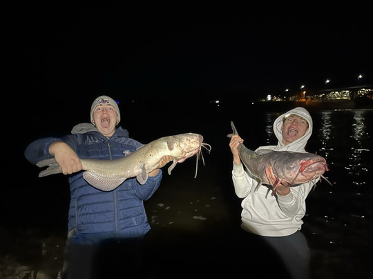Channel Catfish
