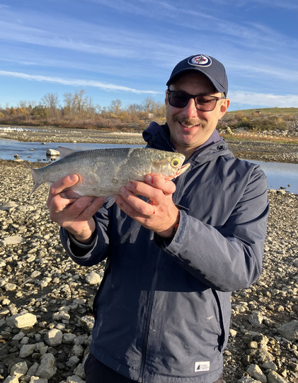Goldeye