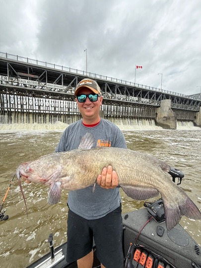 Channel Catfish