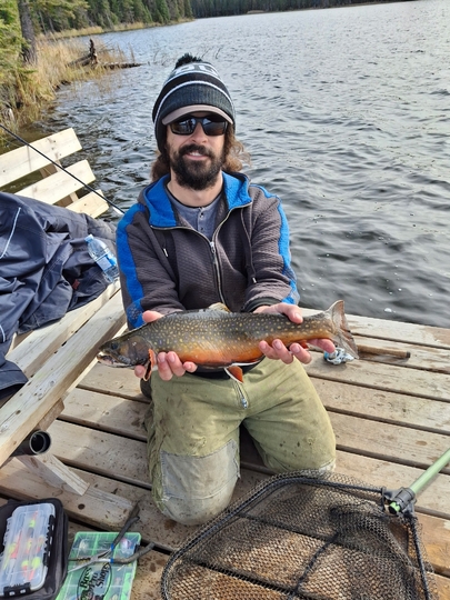 Brook Trout