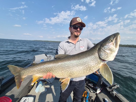 Lake Trout