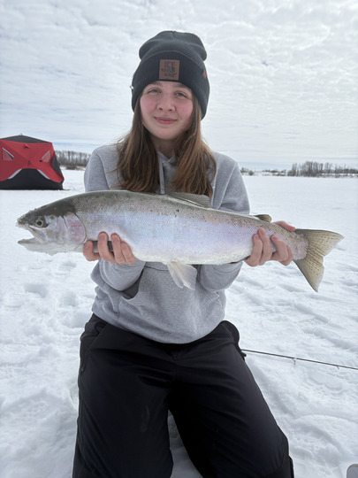 Rainbow Trout